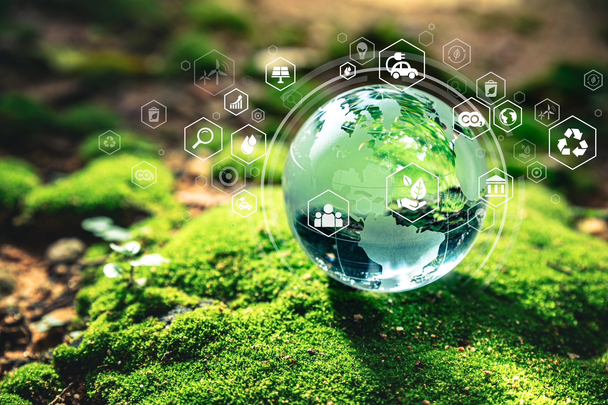 Green App Development: Pioneering Sustainability in the Digital Age